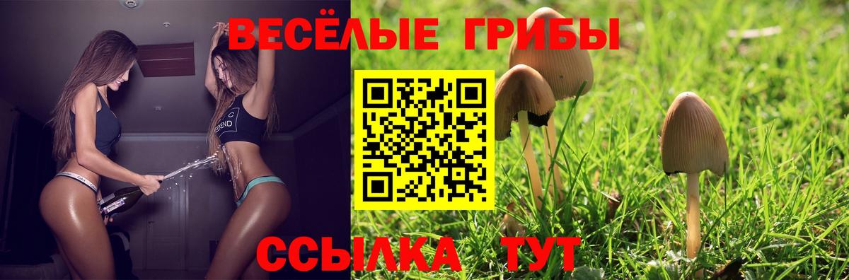 Галлюциногенные грибы MAGIC MUSHROOMS Чапаевск